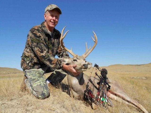 wyoming mule deer