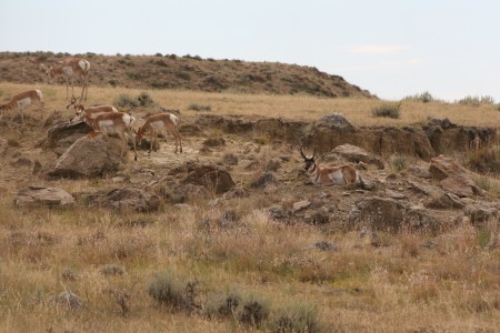 Scenic Wyoming