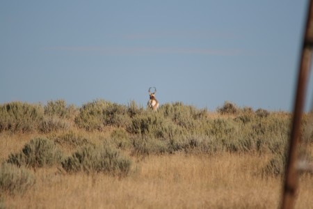 Scenic Wyoming